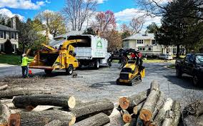 Best Tree and Shrub Care  in Keenesburg, CO