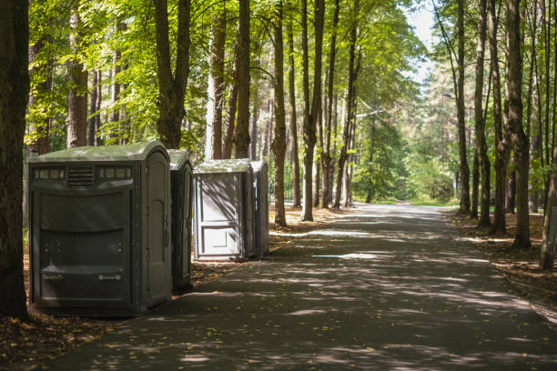 Best Tree Removal  in Keenesburg, CO