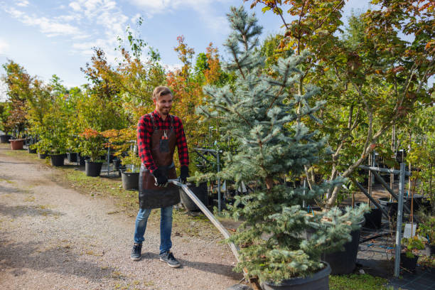 Best Commercial Tree Services  in Keenesburg, CO